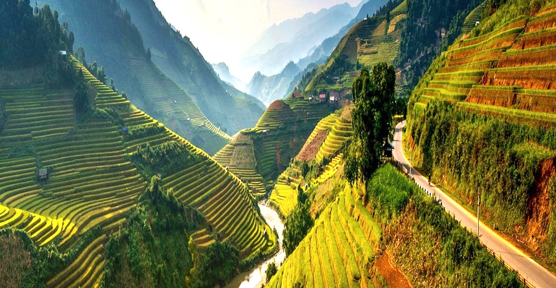Mu Cang Chai rice terraces – the golden season